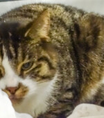 June Svg+xml,%3Csvg%20xmlns%3D%22http%3A%2F%2Fwww.w3